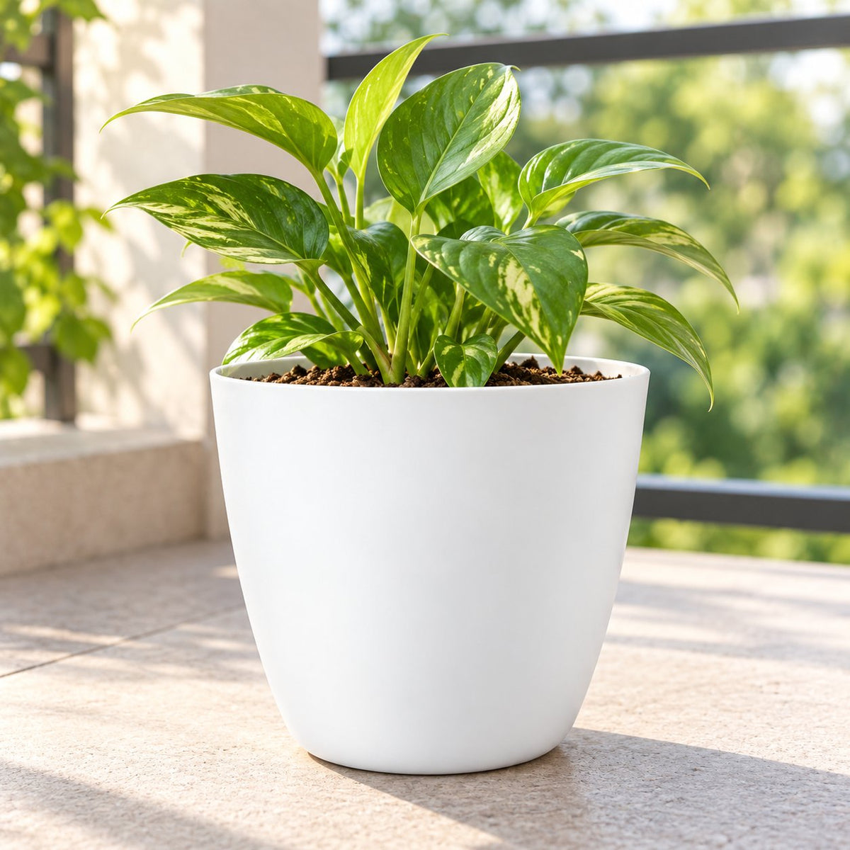 Cool Pot 5 inch – White Table Planter