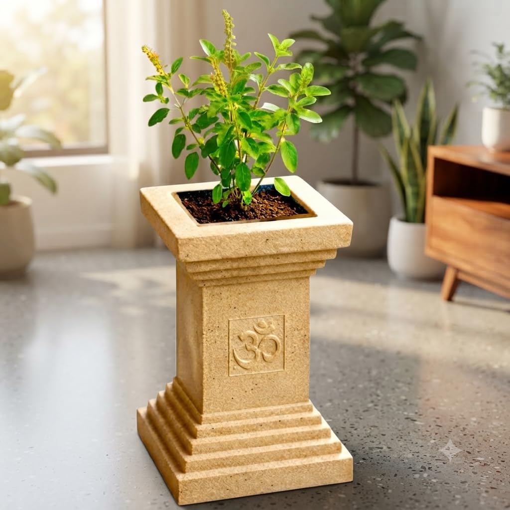 Beige Tulsi planter in a home