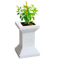 Tulsi planter stone finish - white