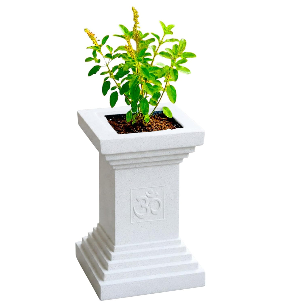 Tulsi planter stone finish - white