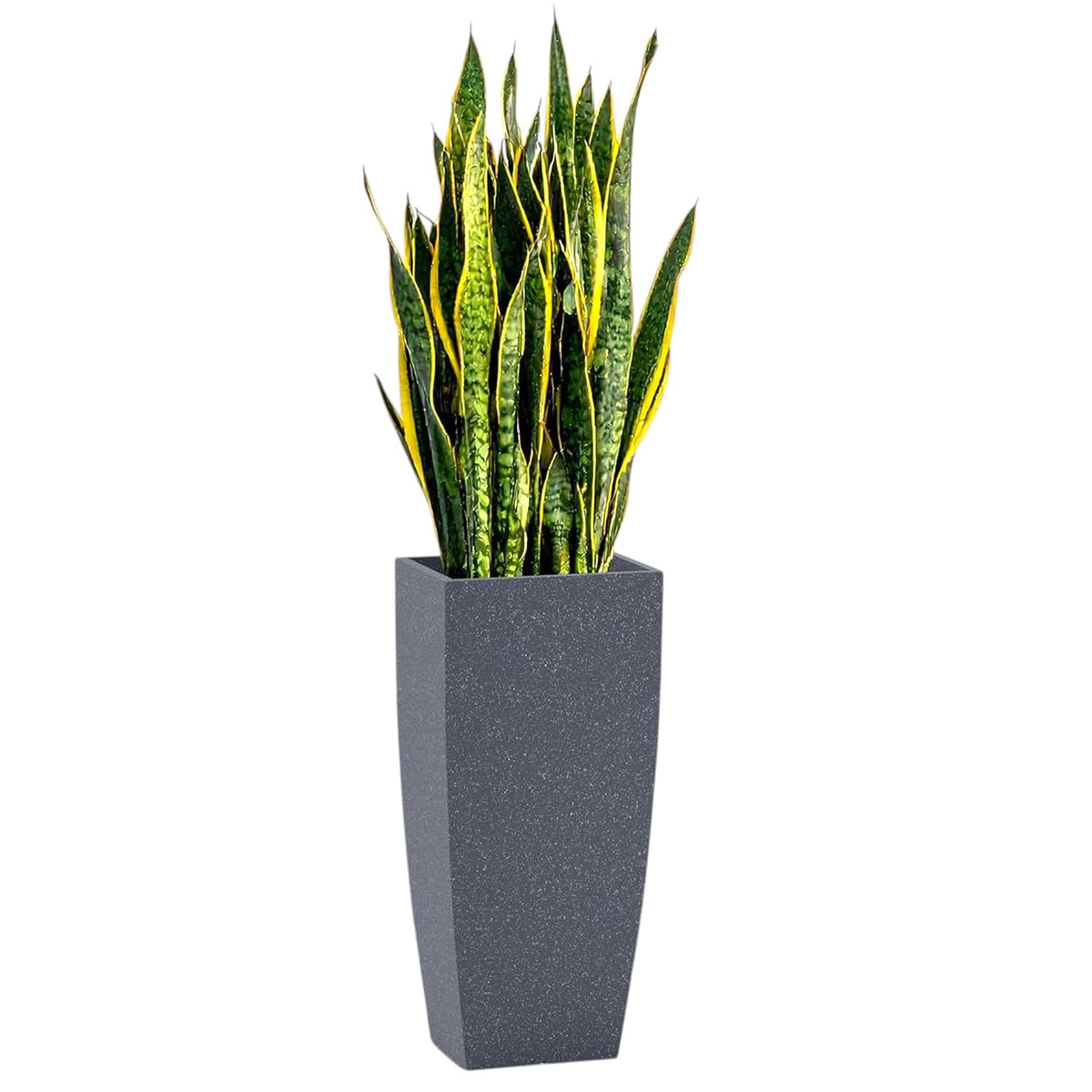 Tall square planter - dark grey stone finish
