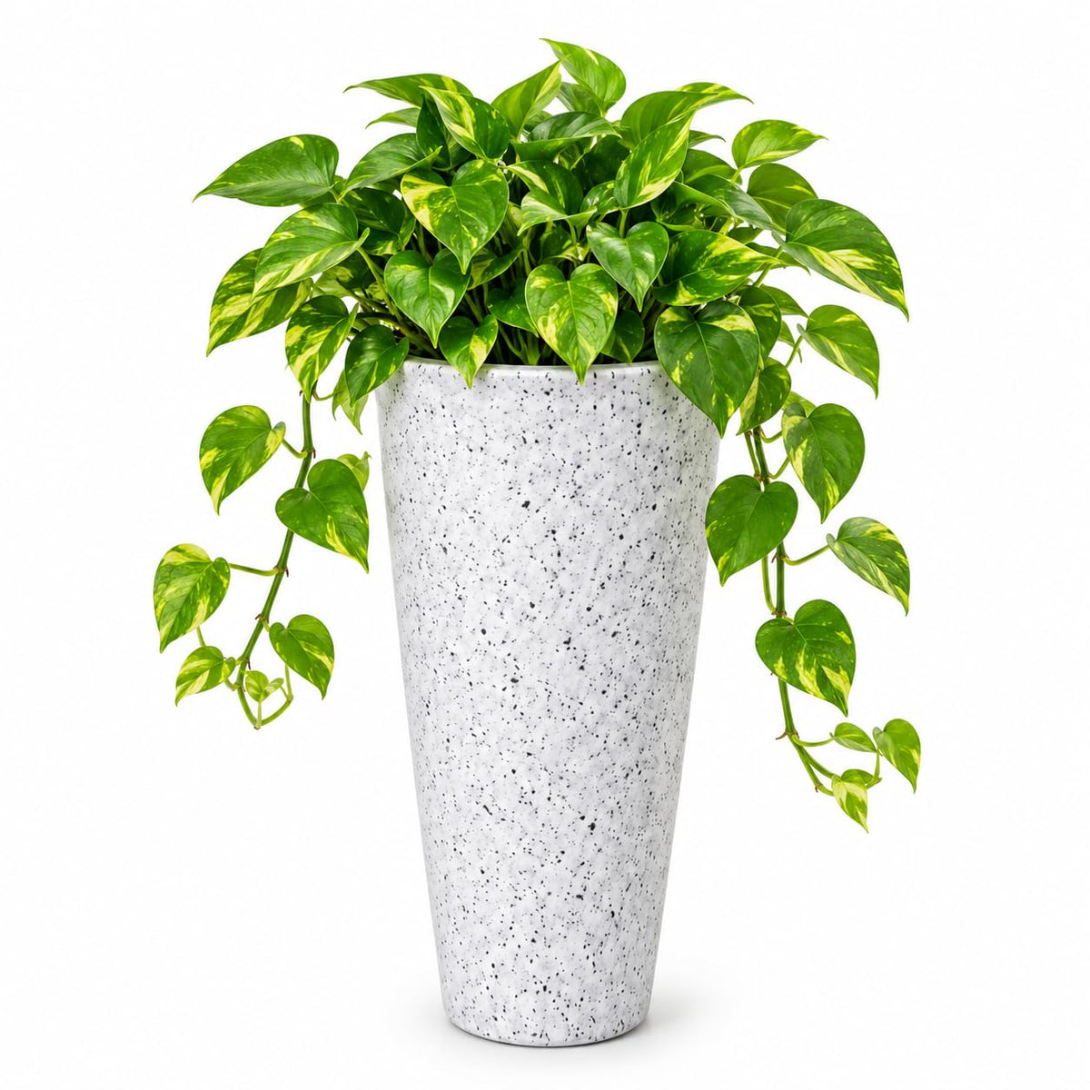 Tall round planter - white speckled