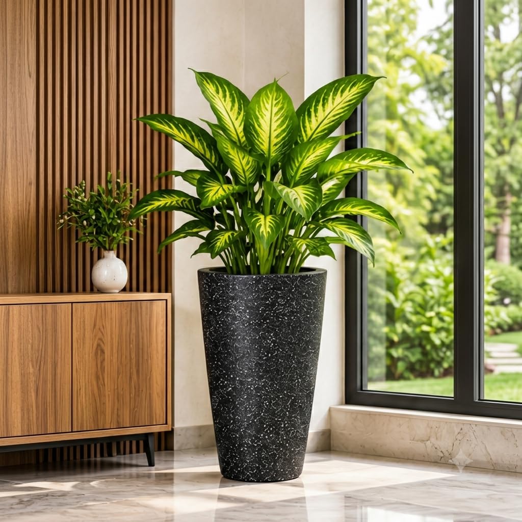 Black tall planter indoors