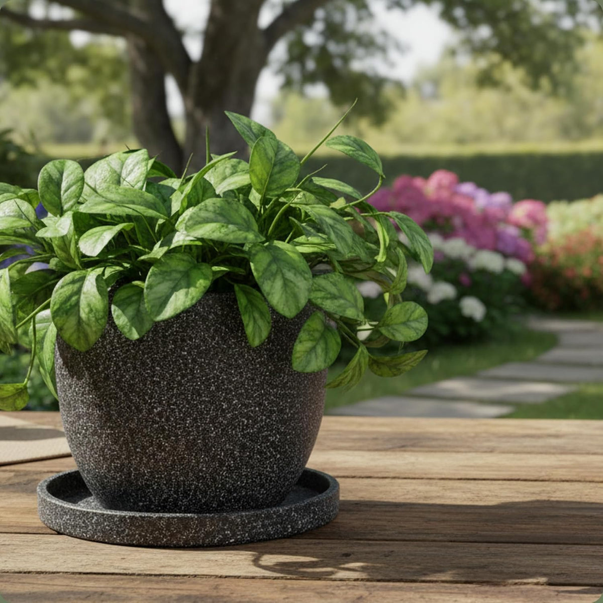 Black cool pot with plant in garden