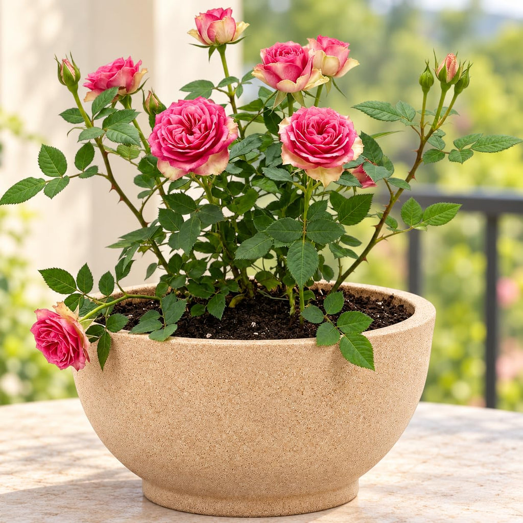 Beige lotus bowl with roses