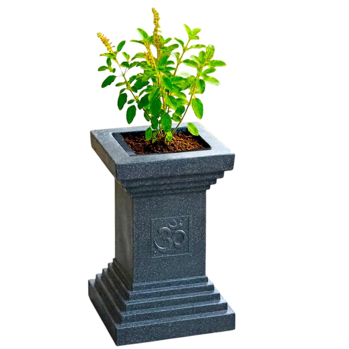 Tulsi planter stone finish - black
