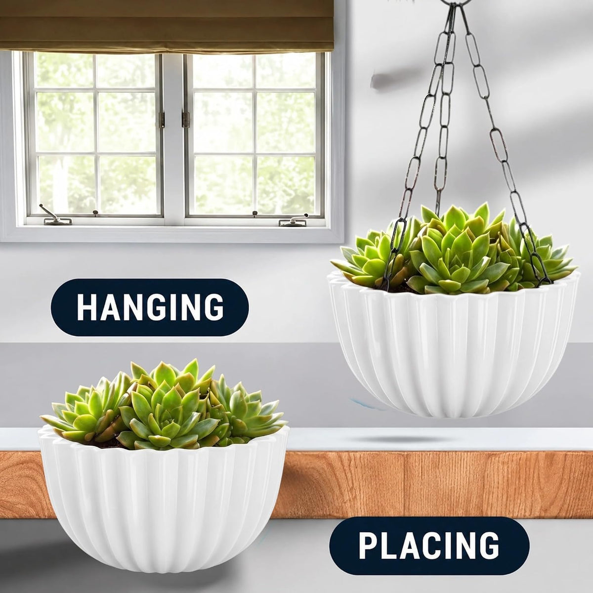 Karizma planter can hang or sit on a table