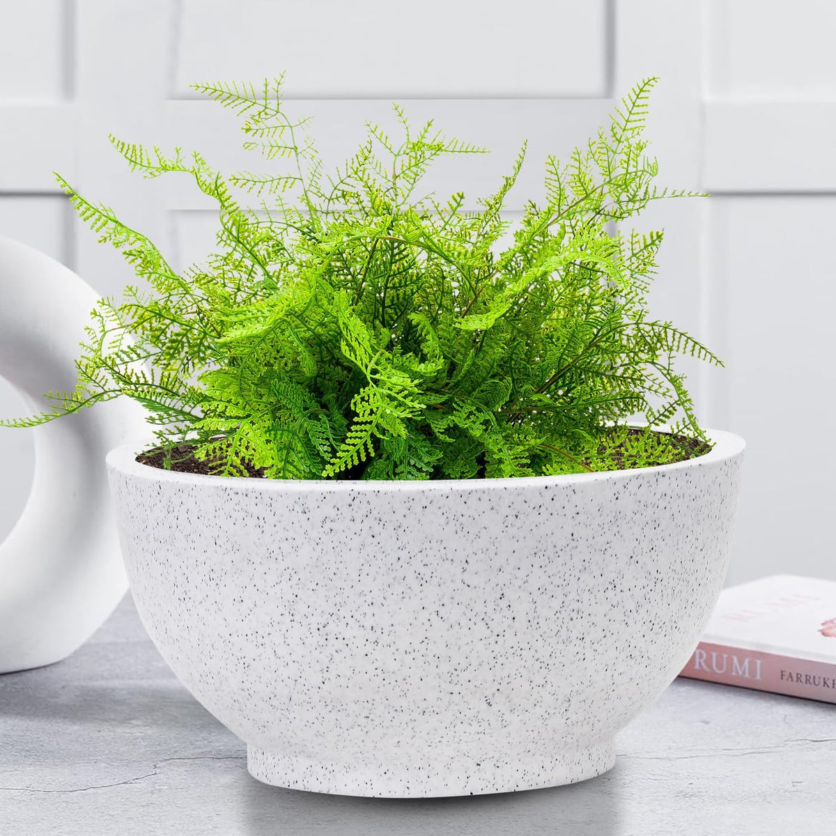 White bowl planter with fern