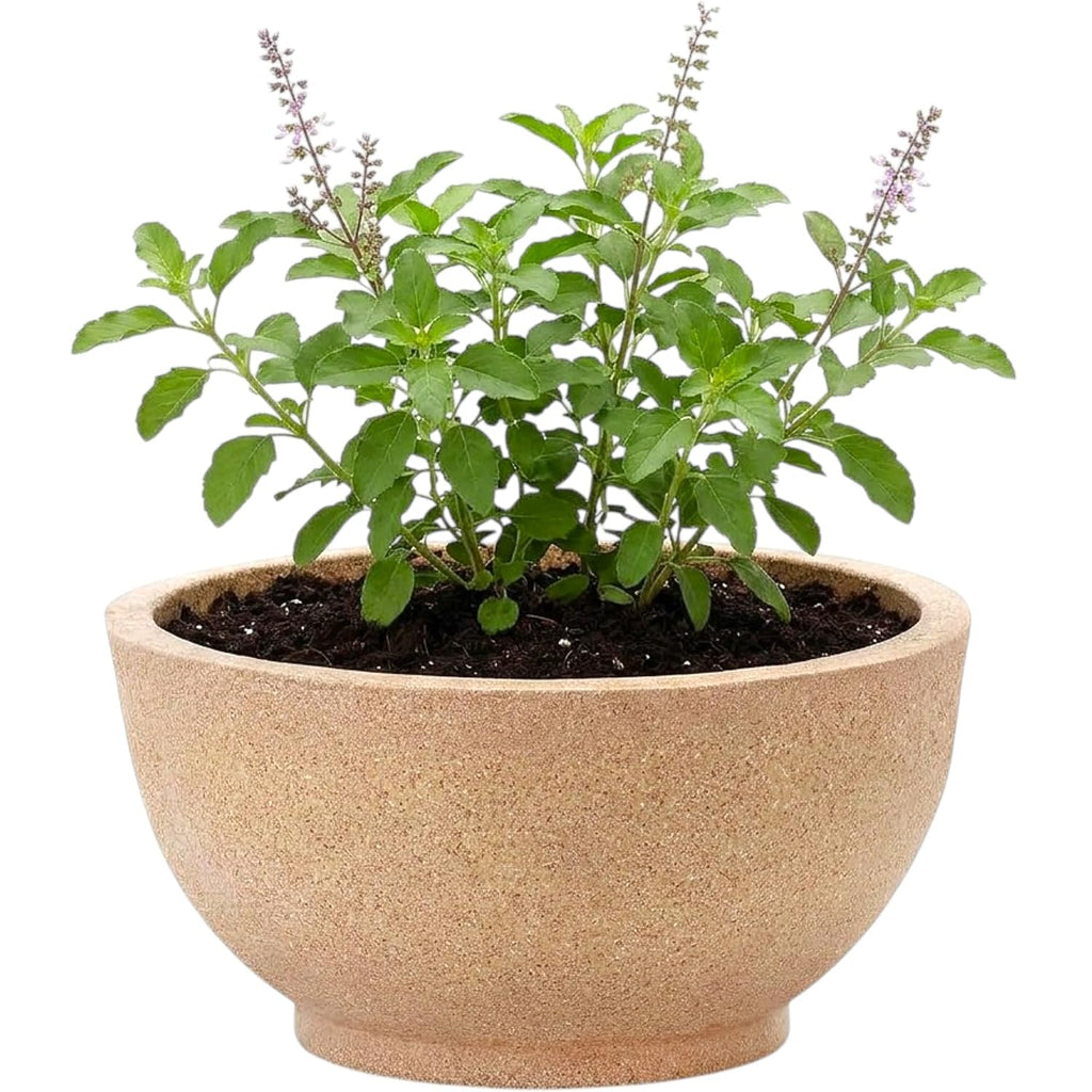 Lotus bowl planter - beige