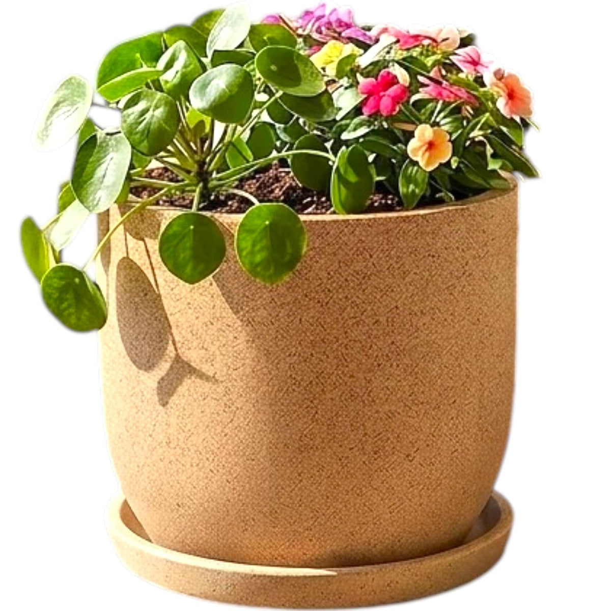 Khaki cool pot with flowers